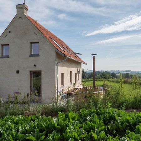 Kompas gîte Ellezelles Extérieur photo