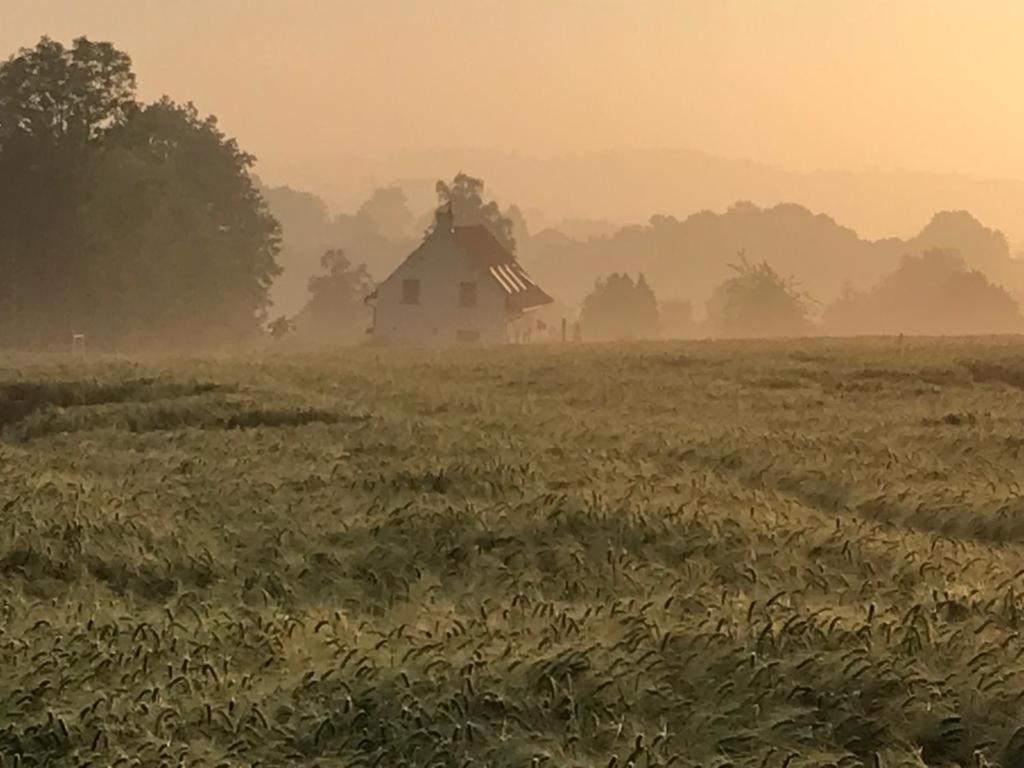 Kompas gîte Ellezelles Extérieur photo